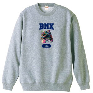 r[GGbNX BMX g[i[ XEFbg Y fB[X WjA pC K    ꖳ 100% LbY 傫TCY ugȃC{[LBMX