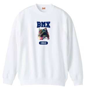 r[GGbNX BMX g[i[ XEFbg Y fB[X WjA pC K    ꖳ 100% LbY 傫TCY ugȃC{[LBMX