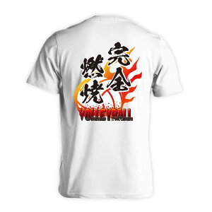 _X[p[SALE^ o[{[ TVc  Y fB[X WjA K hC  tVc  X|[c EFA  q jq `[  ꖳ uS