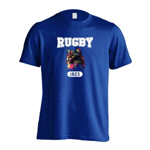 Or[ TVc  Y fB[X WjA K hC  tVc  X|[c EFA  q jq `[  ꖳ ugȃC{[LRUGBY