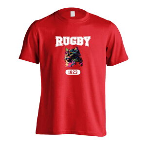 Or[ TVc  Y fB[X WjA K hC  tVc  X|[c EFA  q jq `[  ꖳ ugȃC{[LRUGBY