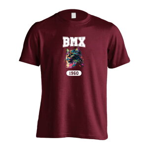 r[GGbNX BMX TVc  Y fB[X WjA K hC  tVc  X|[c EFA  q jq `[  ꖳ ugȃC{[