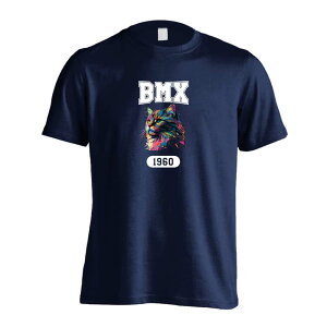 _X[p[SALE^ r[GGbNX BMX TVc  Y fB[X WjA K hC  tVc  X|[c EFA  q jq `[  ꖳ 