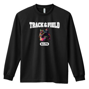 ㋣Z }\ jO T TVc Y fB[X WjA K hC  tVc ӂ   LbY ꖳ ugȃC{[LTRACK&FI