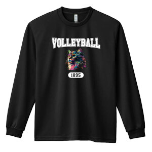 _X[p[SALE^ o[{[ T TVc Y fB[X WjA K hC  tVc ӂ   LbY ꖳ ugȃC{[LVO