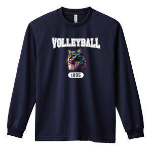 バレーボール ロンT 長袖Tシャツ メンズ レディース ジュニア 練習着 ドライ おもしろ tシャツ ふざけ 名入れ おしゃれ キッズ 文字入れ無料 「レトロなレインボー猫とVOLLEYBALLロゴ」 アート