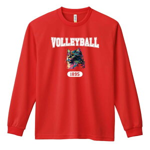 バレーボール ロンT 長袖Tシャツ メンズ レディース ジュニア 練習着 ドライ おもしろ tシャツ ふざけ 名入れ おしゃれ キッズ 文字入れ無料 「レトロなレインボー猫とVOLLEYBALLロゴ」 アート