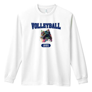 o[{[ T TVc Y fB[X WjA K hC  tVc ӂ   LbY ꖳ ugȃC{[LVOLLEYBALLSv A[g