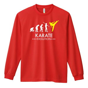 \10%OFFクーポン/ 武道・格闘技 ロンT 長袖Tシャツ メンズ レディース ジュニア 練習着 ドライ おもしろ tシャツ ふざけ 名入れ おしゃれ キッズ 文字入れ無料 「空手エボリューション」 ア
