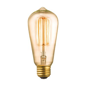 �y�A�[�g���[�N�X�^�W�I�����zARTWORKSTUDIO �d�� BU-1148 E26/40W ST58 �r���e�[�W�d�� �N���A �d���F ���C�g �Ɩ�
