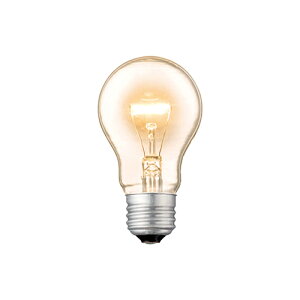 �y�A�[�g���[�N�X�^�W�I�����zARTWORKSTUDIO �d�� BU-1054 E26/60W �n�E�X�d�� �N���A �d���F ���C�g �Ɩ�