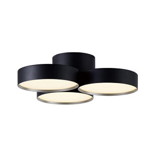 yA[g[NX^WIzV[OCgyPhantom 4000 LED-ceiling lampz t@g4000LEDV[OCg  Cg V[Ov AW-0579E LED 3 4000lm 8p ԐڏƖ 