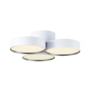 yA[g[NX^WIzV[OCg  yPhantom 5000 LED-ceiling lamp 12pz t@g5000LEDV[Ov AW-0580E V[Ov LED 3 5000lm ԐڏƖ V 