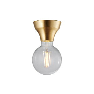 �y�A�[�g���[�N�X�^�W�I�����z ARTWORKSTUDIO �V�[�����O���C�g �V�[�����O�����v AW-0634Z Adam-ceiling light �A�_���V�[�����O���C�g �_�E�����C�g 1�� E26 60W �d���ʔ� �\�P�b�g�̂� �X�`�[�� �^�J LED