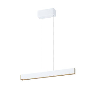 yA[g[NX^WIzy_gCg Bridge 60 LED-pendant ubW60LEDy_g AW-0581E LEDy_gCg  1 800lmLED  F   rO _Cj