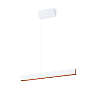 yA[g[NX^WIzy_gCg Bridge 60 LED-pendant ubW60LEDy_g AW-0581E LEDy_gCg  1 800lmLED  F   rO _Cj