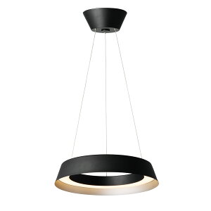 yA[g[NX^WIzy_gCgyLoop LED-pendant lightzAW-0645E [vLEDy_gCg  LED rO _CjO F  ^ tȒP ARTWORKSTUDIO r