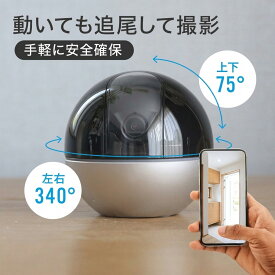 【在庫一掃セール】防犯カメラ 屋内 ネットワークカメラ Wifi 高画質 小型 スマホ SDカード パンチルト 368万画素 見守り 介護 子ども 夜間 音声 遠隔 EZVIZ C6W