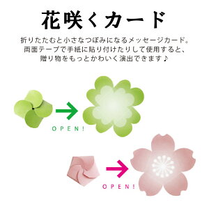 F 񂹏 l 킢  Ε Ε  V[ t[ z 50 ł͂܂B肪Ƃ  lt ԍ炭F2gJ[h