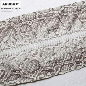 v̔ 1 XpC\ 2.8m zCg }bgdグ obNJbg B/C w ֊v wr v ꖇ v̔ {v GL]`bNU[ U[ U[Ntg | nhCh vޗ f 