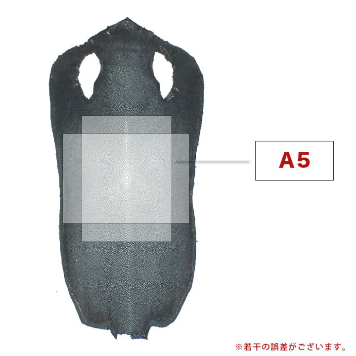 楽天市場】革販売 スティングレイ ポリッシュ ブラック 8インチ 銀擦り 