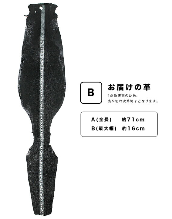 楽天市場】革販売 連石 スティングレイ 通常研磨 6インチ ブラック 