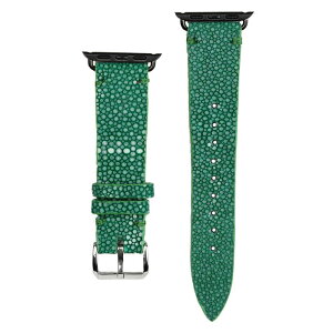 XeBOC AbvEHb`oh Apple Watch Series se se2 4 5 6 7 8 9 10 ultra ultra2 GCv K[V v xg oh 38mm 40mm 41mm 42mm 44mm 45mm 46mm Eg rv Y fB[X a