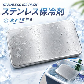 ステンレス 保冷剤 クーラー 長時間保冷 氷のう 氷の代わり アイスパック アイスプレート クーラーボックス 結露しない 繰り返し使える 洗える エコ アウトドア キャンプ 釣り フィッシング お弁当 ランチ ピクニック スポーツ観戦 夏