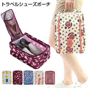 y1000~|bLz V[Y|[` V[YP[X C [ Jo ^ C W s AEghA  킢 IV [ TN100 C5