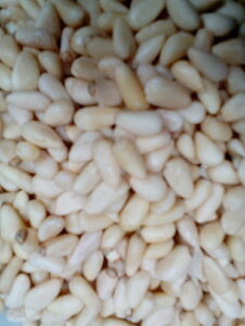 y1000~|bLzyzy̎z@Ŷ߂Ԓ~y߂Ԕ~zZbg02P03Dec16