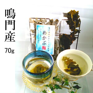 ߂Ԓ  Y Y fgbNXeB[ z Ԃ Ԓ N hЃObY H l  M  ߂Ԕ~70g