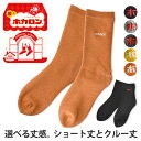 ホカロン 靴下 ソックス 毛布ソックス レディース 婦人 裏起毛 履くホカロン 暖 冷え対策 選べる丈 ショート丈 クルー丈 厚手【C3T】【送料無料】【メール便3】【ladys】