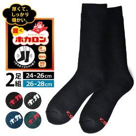 ホカロン 靴下 ソックス メンズ 紳士 2足組 総パイル 裏起毛 履くホカロン 暖 冷え対策 クルー丈【C5R】【送料無料】【ゆうパケット】【mens】