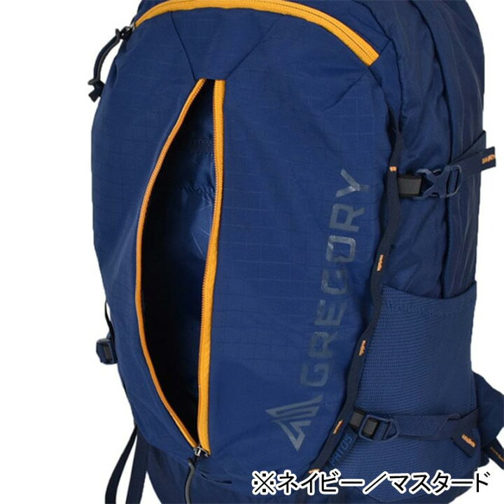 楽天市場】P10倍 グレゴリー パトス リュック バックパック 22L  