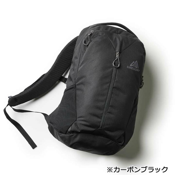 楽天市場】P10倍 グレゴリー ルーヌ20 リュック バックパック 20L 旅行 