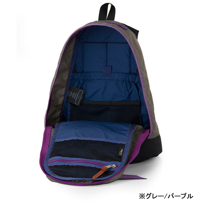 楽天市場】P10倍 グレゴリー ファインデイ V2 18L リュック バック 