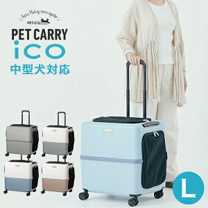 P10{ ybgL[ ybgJ[g y`R LTCY ^ ^ L PETiCO petico h hЃObY ybg 3001-L