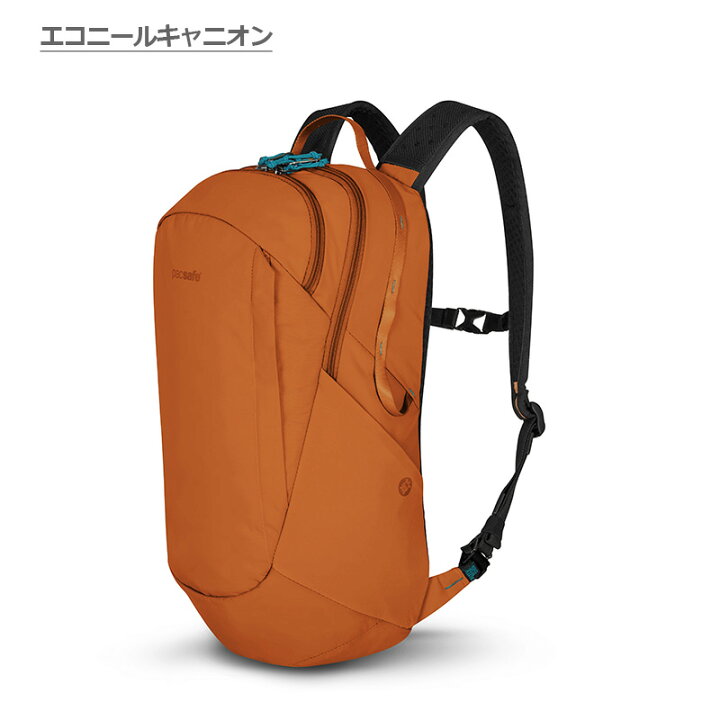 楽天市場】P10倍 パックセーフ ECO バックパック 25L リュック 