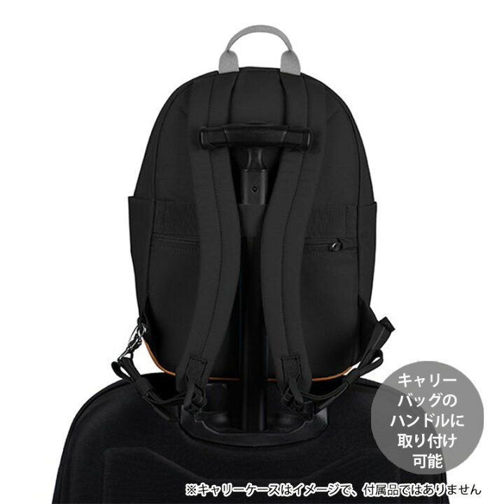 楽天市場】P10倍 パックセーフ GO 15L バックパック リュック 防犯機能 