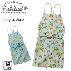 P10{ bv x[ Gv Berry  Rbg \ 킢 ۈm JWA  Lb` 䏊pi Ar`A Habituel REP