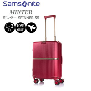 P10{ T\iCg X[cP[X ~^[ Xsi[55 HH5*001 @݃TCY 33L STCY 1-3 y s  L[P[X Wbp[L[ s o [J[ۏؕt Samsonite