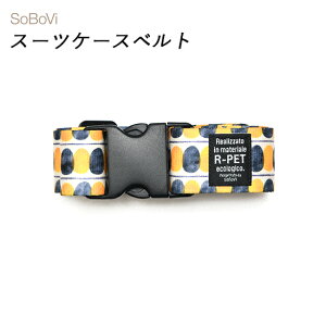 P10{ SoBoVi X[cP[Xxg ԕ  GXjbN gx s  킢 TCN TXeiu TTC RTCX \{B \{r AmbienceV[Y 490023