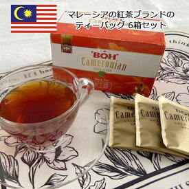 BOH ボー キャメロン 紅茶 ゴールドブレンド ティーバッグ 20袋×6箱セット キャメロニアンゴールドブレンド マレーシア お土産 おみやげ 海外