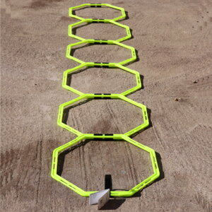 NIKE Agility Web iCL AT5014-753 AWeB[EFu g[jOpi Xebv oXPbg{[ TbJ[ WjA fB[X Y nike tbg[N ̊g[jO yV 