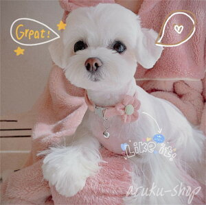  Ȃ ɂȂ  z̉ t[ t  y _炩 킢 pɕ֗ 4J[Iׂ S ˂ т  L̎  p L  Y L