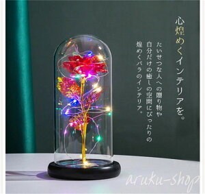 LED o ͂Ȃo CeA KN [Y  Cg C~l[V   KXh[ u  CeACg  ỏ ̓ a  LO 蕨 Mt