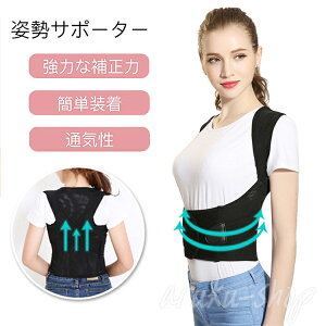 T|[^[ p p fB[X \ ˂ Lwh~ w؃xg Lwxg jp pT|[^[