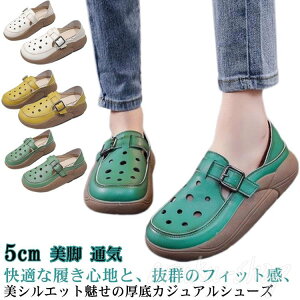 r ~ y V[Y 2way Ƃ Od JWAV[Y X|[cT_ T_  5cm fB[X