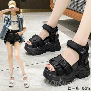 C fB[X y T_ RtH[g r[`T_ q[10cm  r T_ fB[X X|[cT_