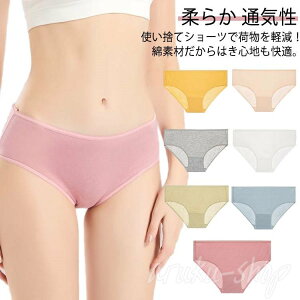 p o a@  g ĝăpc ЊQpi gx  ʕ 20Zbg fB[X ĝăV[c ЊQ